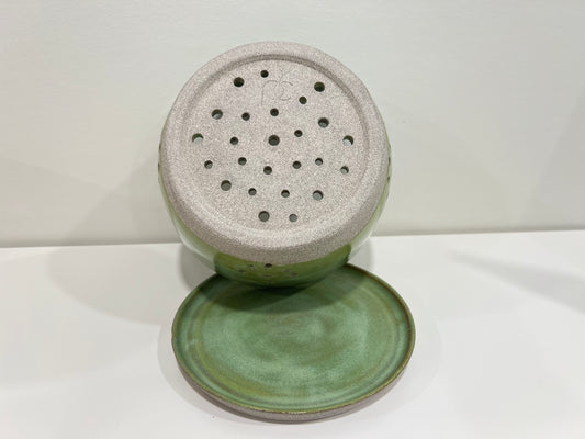 Berry Bowl - Cactus Green