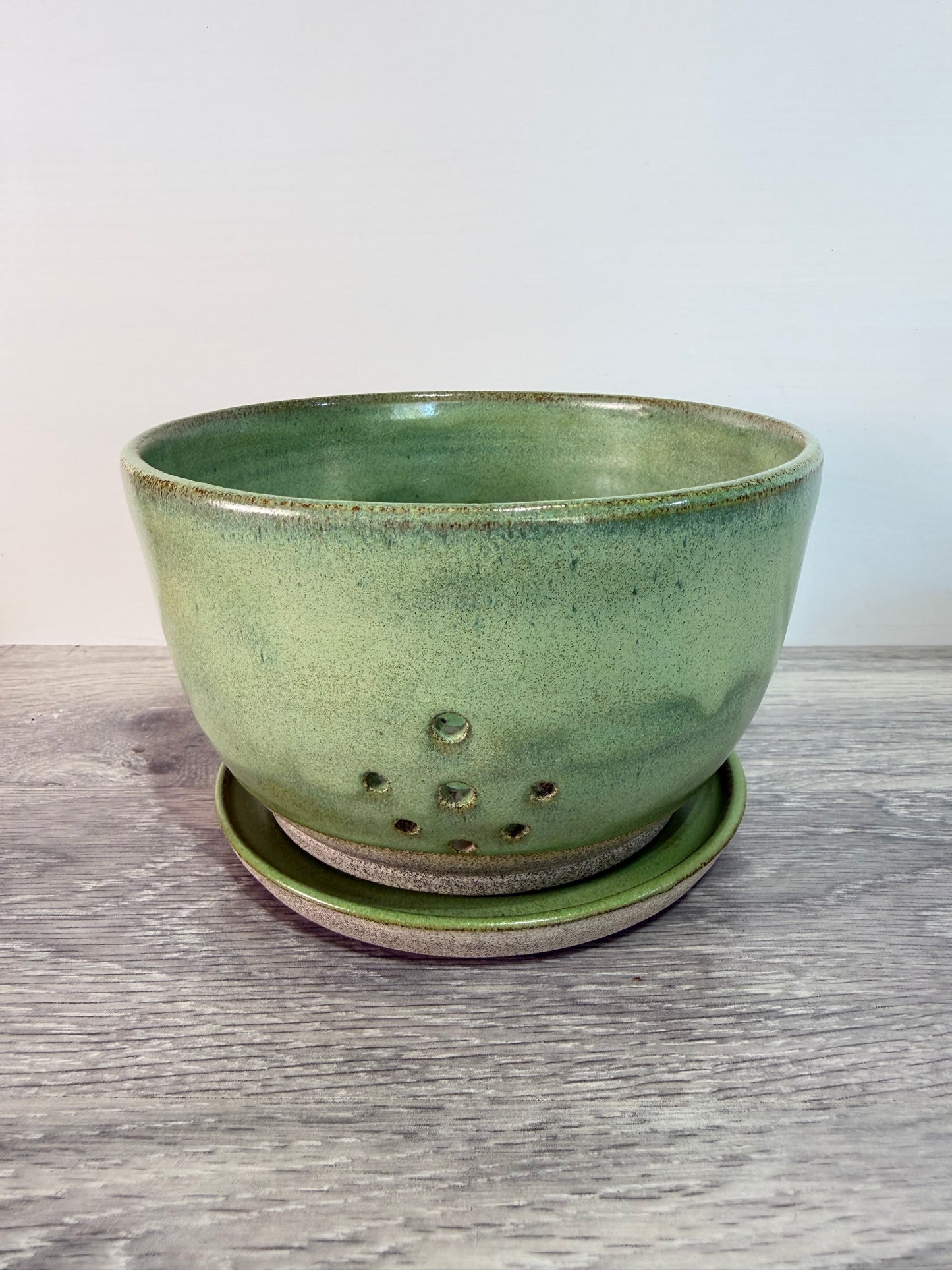 Berry Bowl - Cactus Green