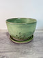 Berry Bowl - Cactus Green