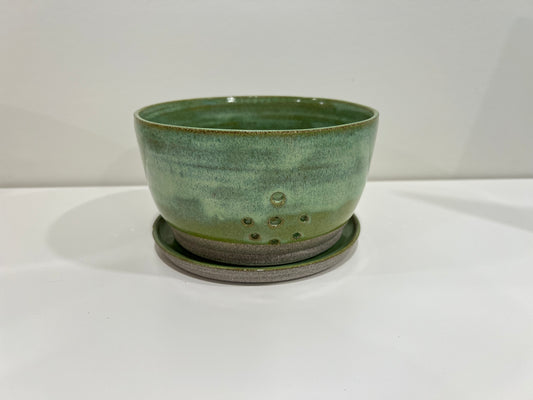 Berry Bowl - Cactus Green