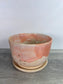 Berry Bowl - Peach and Cream
